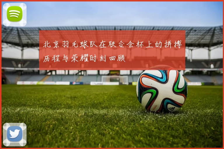 北京羽毛球队在联合会杯上的拼搏历程与荣耀时刻回顾
