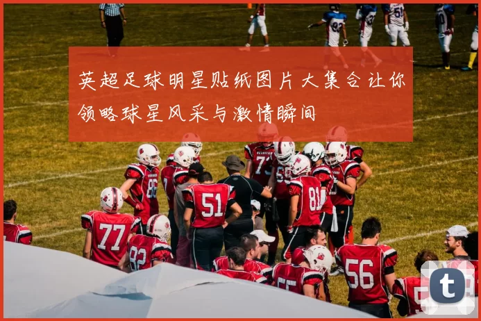 英超足球明星贴纸图片大集合让你领略球星风采与激情瞬间