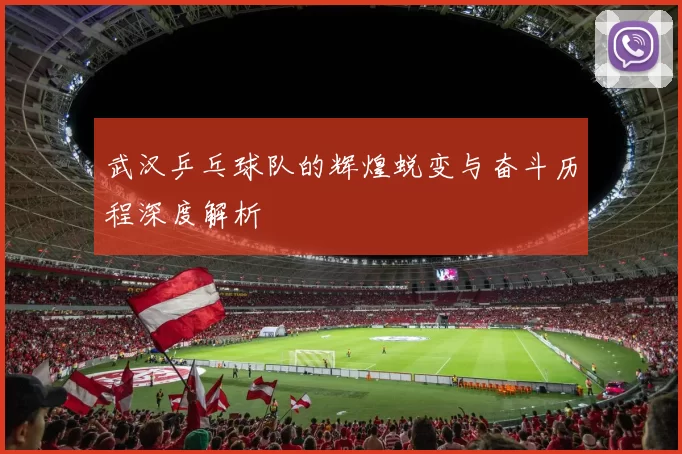 武汉乒乓球队的辉煌蜕变与奋斗历程深度解析