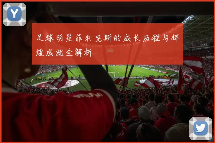 足球明星菲利克斯的成长历程与辉煌成就全解析