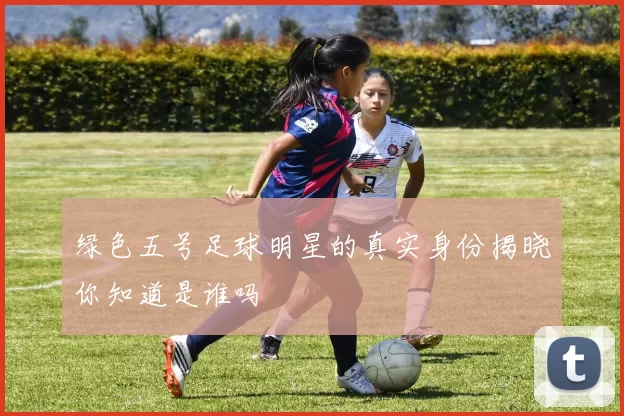 绿色五号足球明星的真实身份揭晓你知道是谁吗