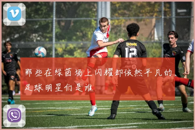 那些在绿茵场上闪耀却依然平凡的足球明星们是谁