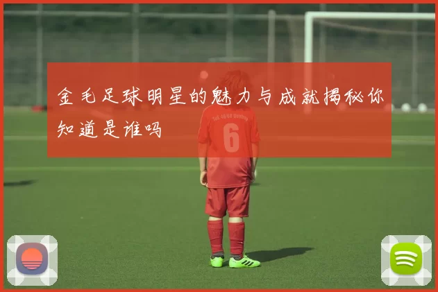金毛足球明星的魅力与成就揭秘你知道是谁吗