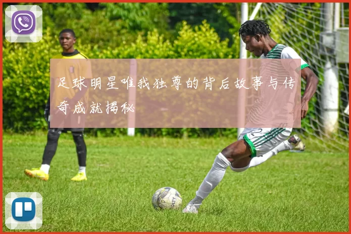 足球明星唯我独尊的背后故事与传奇成就揭秘