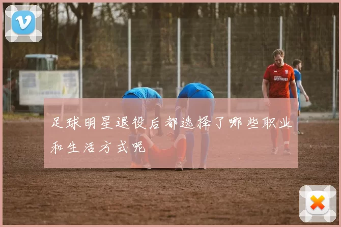 足球明星退役后都选择了哪些职业和生活方式呢