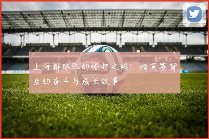 上海排球队的崛起之路：精英赛背后的奋斗与成长故事