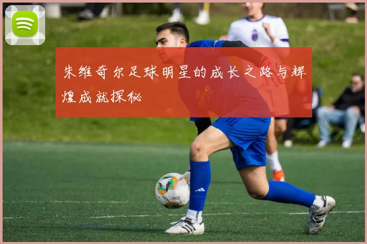 朱维奇尔足球明星的成长之路与辉煌成就探秘