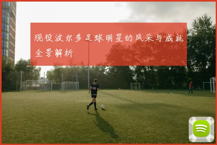 现役波尔多足球明星的风采与成就全景解析