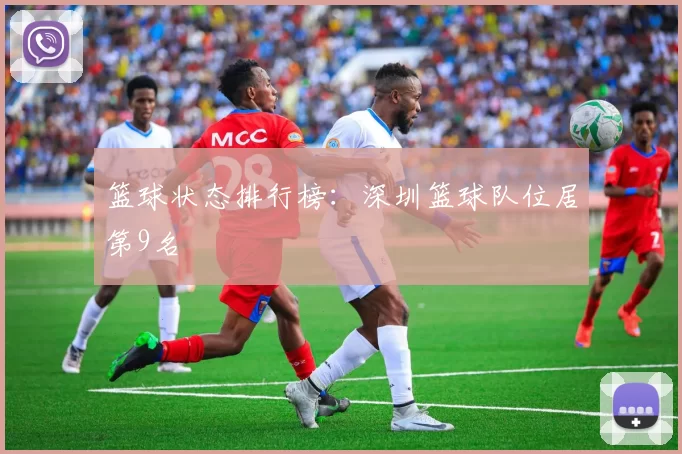 篮球状态排行榜：深圳篮球队位居第9名