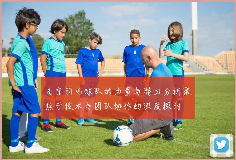 南京羽毛球队的力量与潜力分析聚焦于技术与团队协作的深度探讨