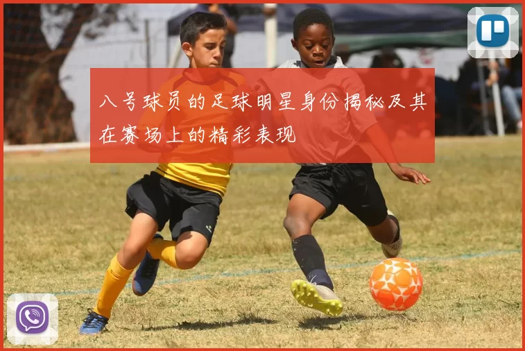 八号球员的足球明星身份揭秘及其在赛场上的精彩表现