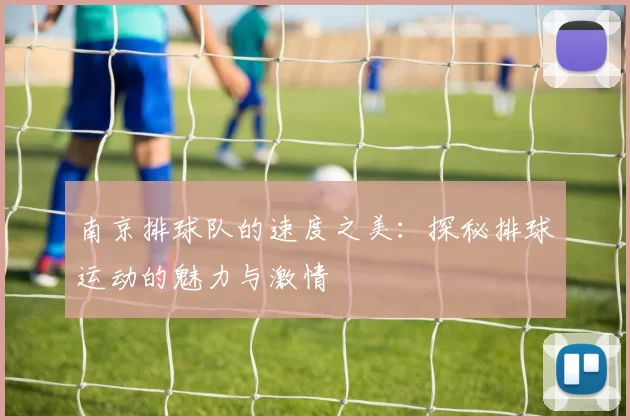 南京排球队的速度之美：探秘排球运动的魅力与激情